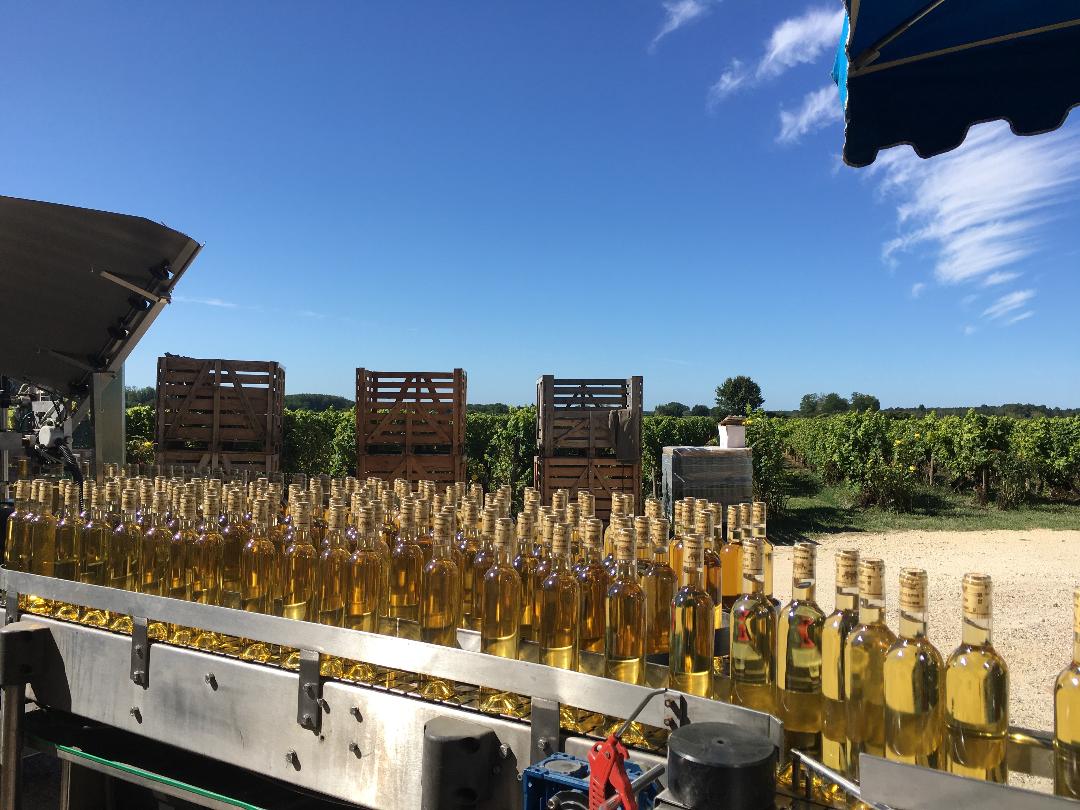 Mise  en bouteille Château Liot 