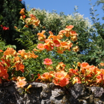 Chateau_Liot-8-scaled-1