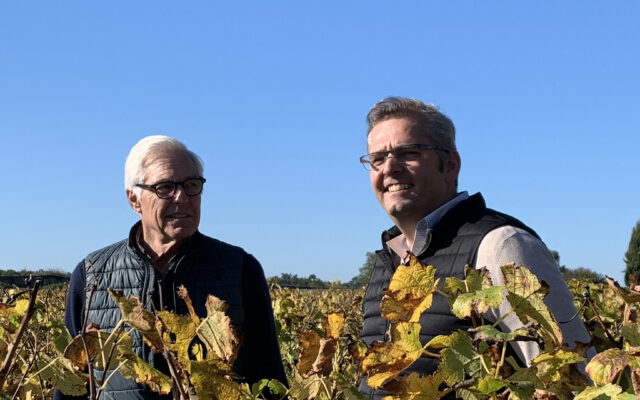 Château Liot : les Chai