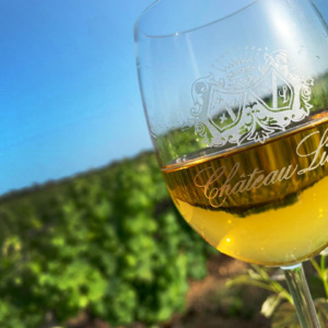 Verres du Château Liot