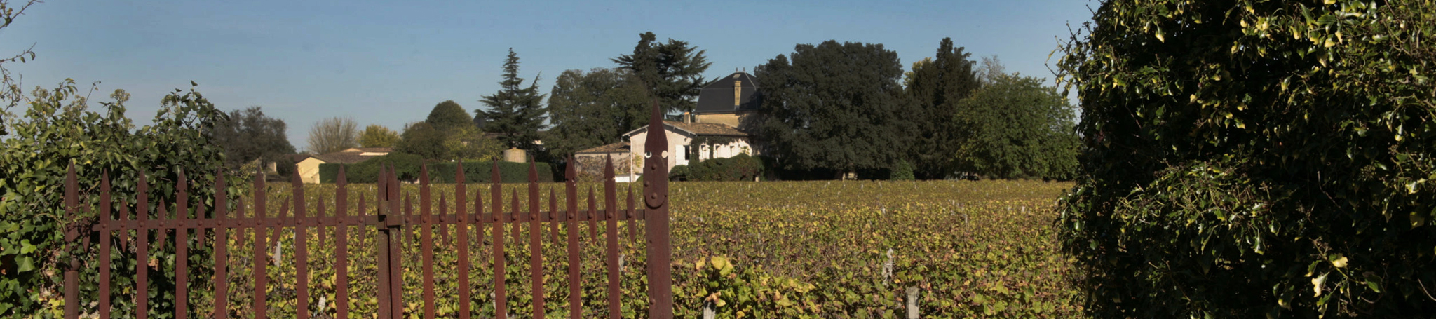 Vendange au Château Liot